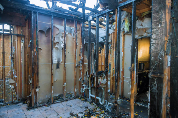 Professional Fire Damage Removal technician working in Bergenfield, NJ